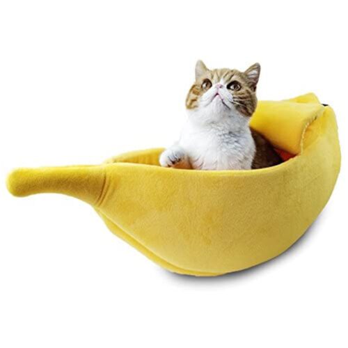 Banana Cat Bed 1