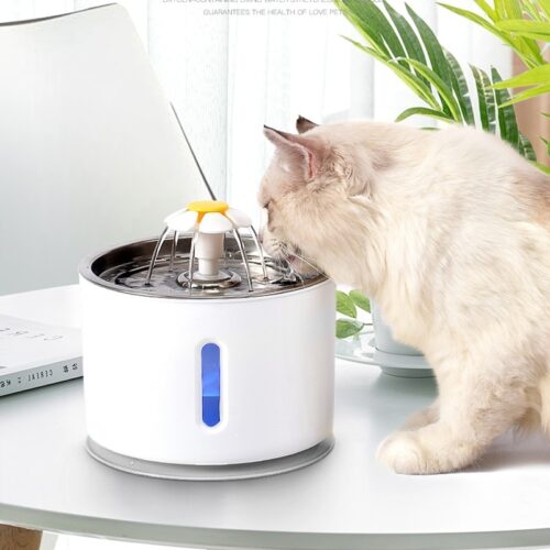 Automatic Pet Water Dispenser