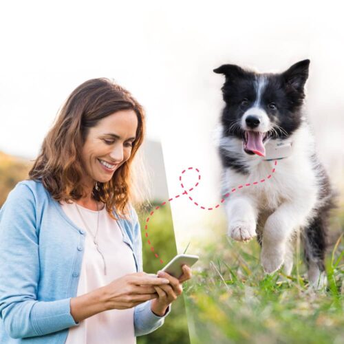 GPS Tracker 6